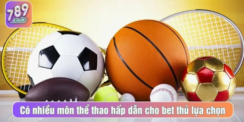 Có nhiều môn thể thao hấp dẫn cho bet thủ lựa chọn