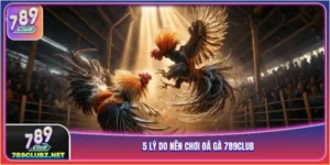 Đá gà 789Club